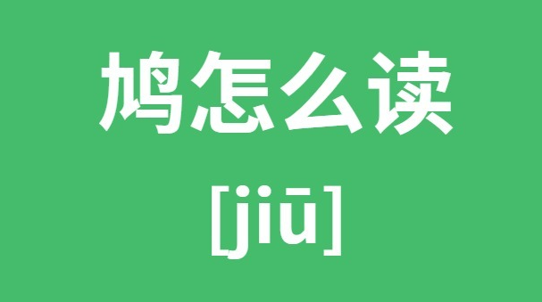 鳩怎么讀組詞(鳩怎么讀音)