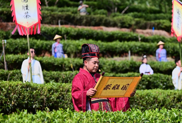 2024年4月13日攀枝花鹽邊國(guó)勝茶采摘季系列活動(dòng)舉行